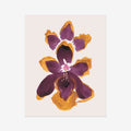 Amethyst Gem Orchids Fine Art Print