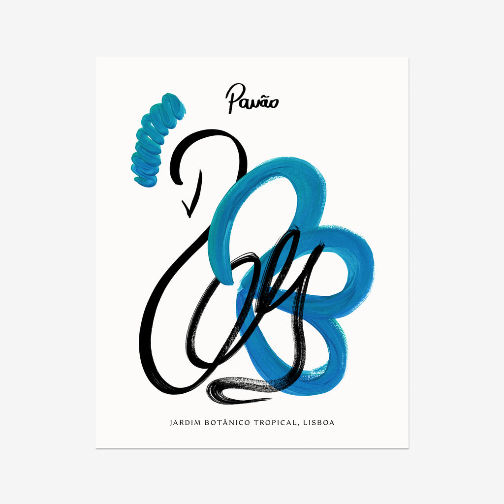 Peacock Fine Art Print